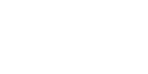 Zalv